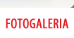 FOTOGALERIA