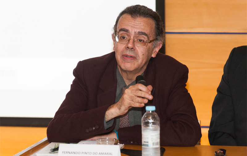 Fernando Pinto do Amaral